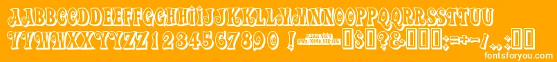 Actionisshaded-Schriftart – Weiße Schriften auf orangefarbenem Hintergrund