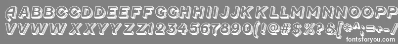 フォントFenwickoldenRegular – 灰色の背景に白い文字