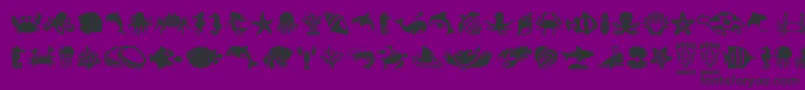 Fonte SeaLife – fontes pretas em um fundo violeta