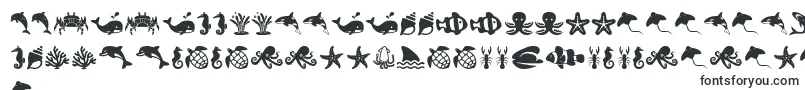 SeaLife Font – Creole Fonts