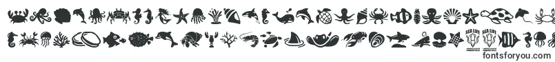 SeaLife Font – Animal Fonts