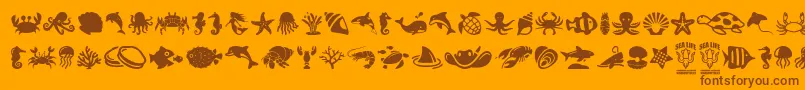 SeaLife Font – Brown Fonts on Orange Background