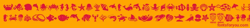 SeaLife-Schriftart – Rote Schriften auf orangefarbenem Hintergrund