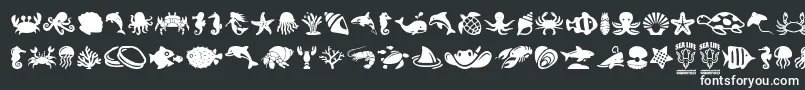 SeaLife Font – White Fonts on Black Background