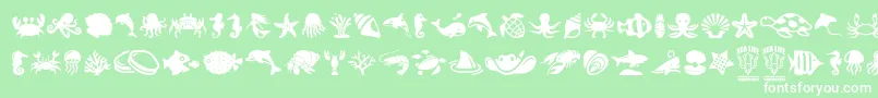 SeaLife Font – White Fonts on Green Background