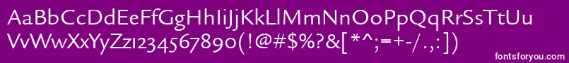 LegacySansOsItcTtBook Font – White Fonts on Purple Background