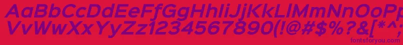 Sinkinsans700bolditalic Font – Purple Fonts on Red Background