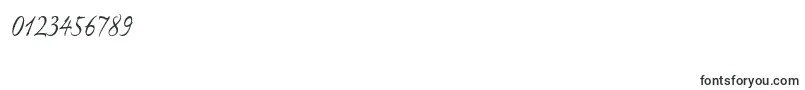 ExpontoproRegular Font – Fonts for Numbers and Digits