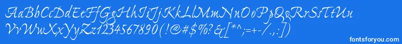 ExpontoproRegular Font – White Fonts on Blue Background