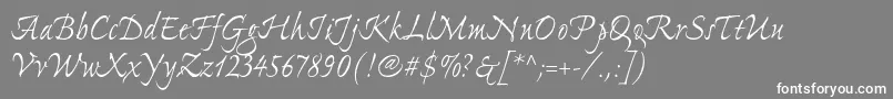 フォントExpontoproRegular – 灰色の背景に白い文字