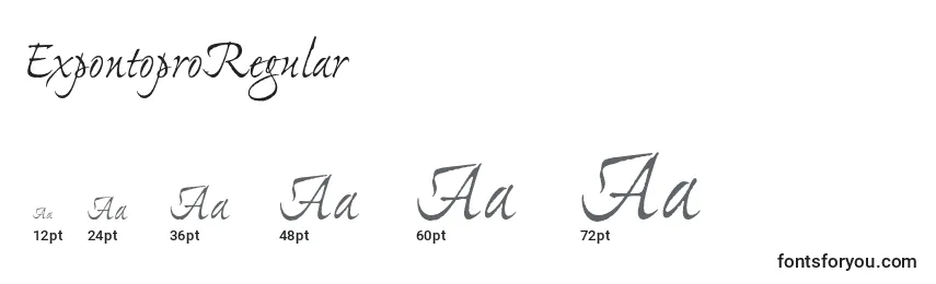 ExpontoproRegular Font Sizes