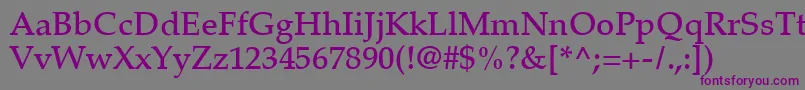 PalatinoLtMedium Font – Purple Fonts on Gray Background