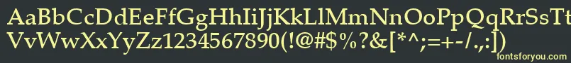 フォントPalatinoLtMedium – 黒い背景に黄色の文字