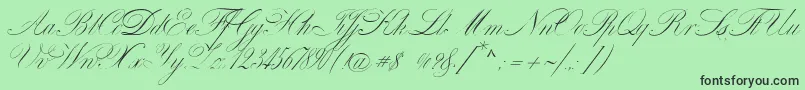 VenskiSadOneMedium Font – Black Fonts on Green Background