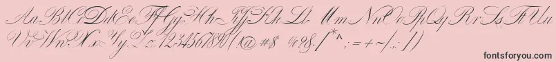 VenskiSadOneMedium-Schriftart – Schwarze Schriften auf rosa Hintergrund
