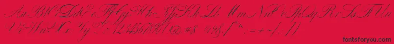 VenskiSadOneMedium Font – Black Fonts on Red Background