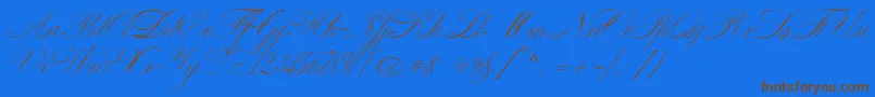 VenskiSadOneMedium Font – Brown Fonts on Blue Background