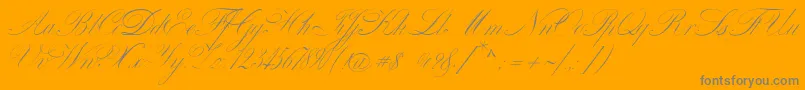 Шрифт VenskiSadOneMedium – серые шрифты на оранжевом фоне