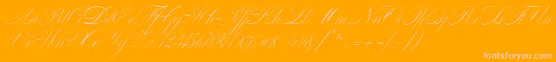 VenskiSadOneMedium Font – Pink Fonts on Orange Background