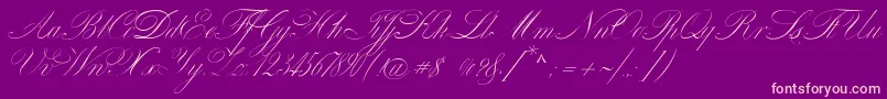 VenskiSadOneMedium Font – Pink Fonts on Purple Background