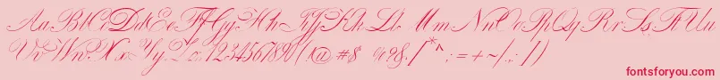 VenskiSadOneMedium Font – Red Fonts on Pink Background
