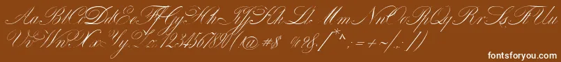 VenskiSadOneMedium Font – White Fonts on Brown Background