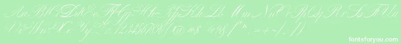 VenskiSadOneMedium Font – White Fonts on Green Background