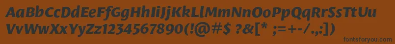 LeksasansproExtraboldItalic Font – Black Fonts on Brown Background