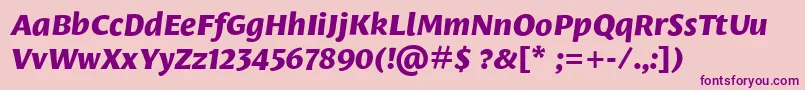 LeksasansproExtraboldItalic Font – Purple Fonts on Pink Background