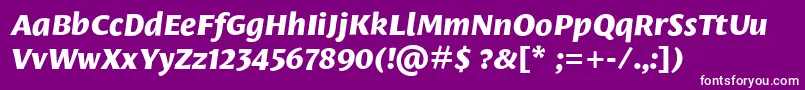 LeksasansproExtraboldItalic Font – White Fonts on Purple Background