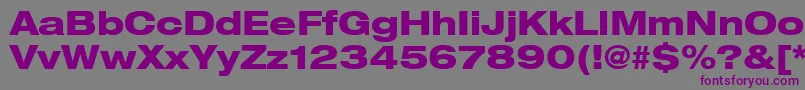 Heaveneticaextd8Hvysh Font – Purple Fonts on Gray Background