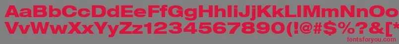 Heaveneticaextd8Hvysh Font – Red Fonts on Gray Background