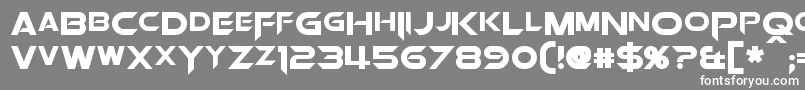 フォントOrionPaxBold – 灰色の背景に白い文字