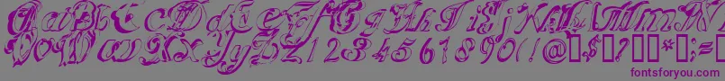 Scripteriacola-fontti – violetit fontit harmaalla taustalla