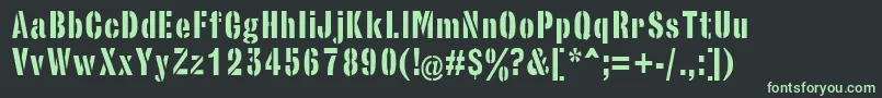 フォントStencilsansRegular – 黒い背景に緑の文字
