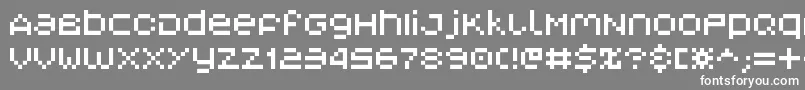 V5 Font – White Fonts on Gray Background