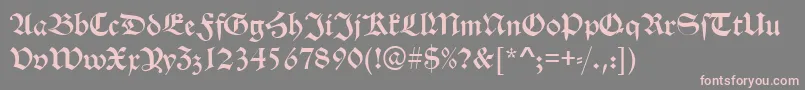 AlteSchwabacherRegular Font – Pink Fonts on Gray Background