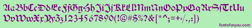 AlteSchwabacherRegular Font – Purple Fonts on Green Background