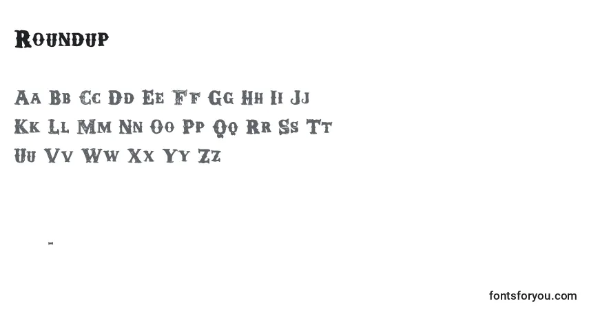 Schriftart Roundup – Alphabet, Zahlen, spezielle Symbole