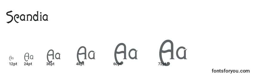 Размеры шрифта Scandia