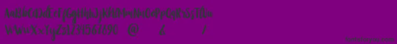 StayWildy Font – Black Fonts on Purple Background