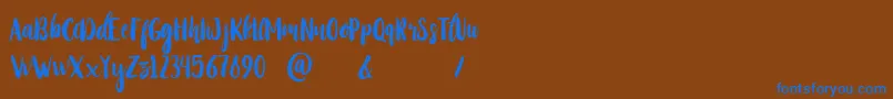 StayWildy Font – Blue Fonts on Brown Background