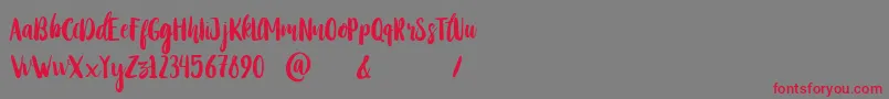 StayWildy Font – Red Fonts on Gray Background
