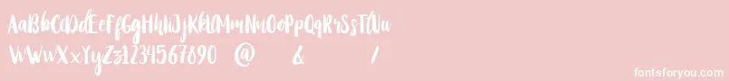 StayWildy-Schriftart – Weiße Schriften auf rosa Hintergrund