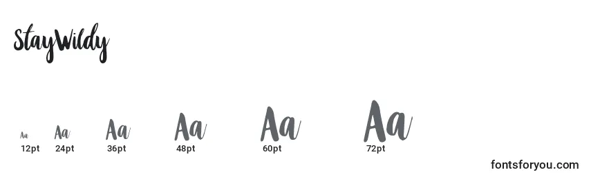 StayWildy Font Sizes