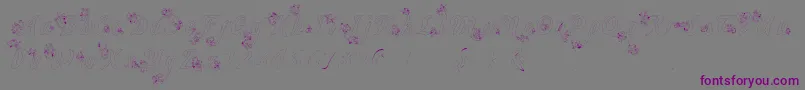 Wander Font – Purple Fonts on Gray Background