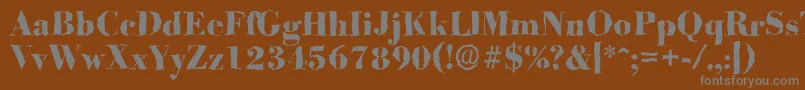 BodonirandomXboldRegular Font – Gray Fonts on Brown Background