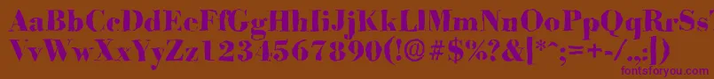 BodonirandomXboldRegular Font – Purple Fonts on Brown Background