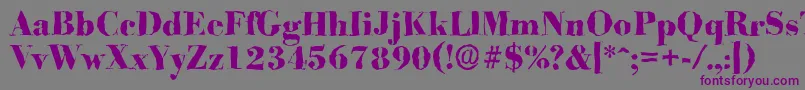 BodonirandomXboldRegular Font – Purple Fonts on Gray Background