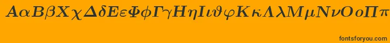 EuclidSymbolBoldItalic Font – Black Fonts on Orange Background